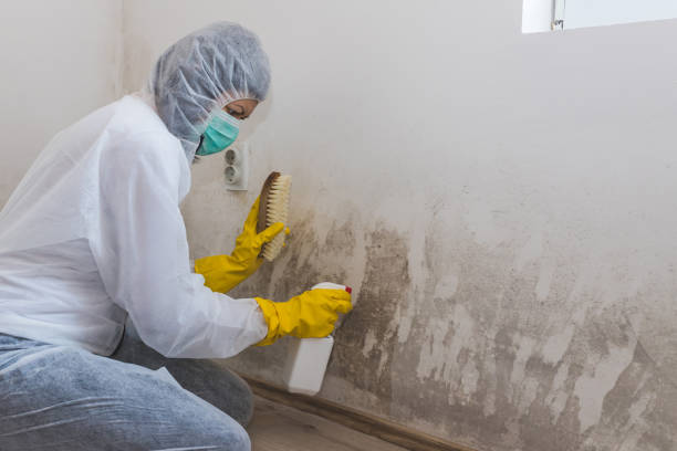 Best Mold Inspection  in Strasburg, OH