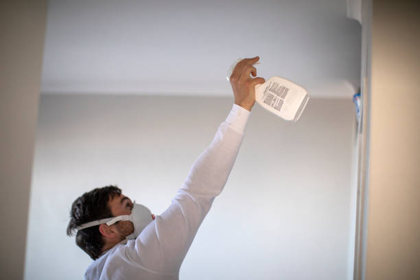 Best Water Damage Restoration  in Strasburg, OH