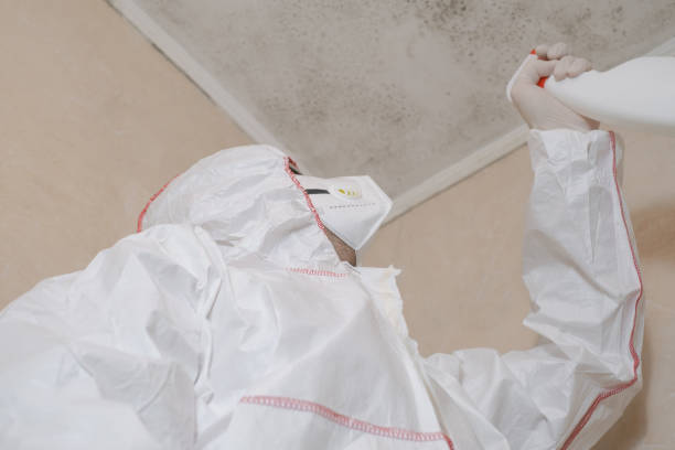 Best Crawl Space Mold Removal  in Strasburg, OH